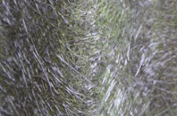 Fforest Fach fibreglass roof work